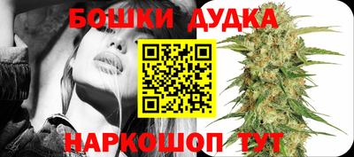 скорость Дубна
